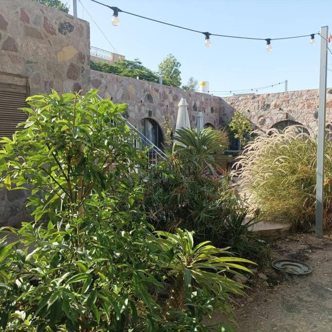 Apartmán Eilat Stone Terrace-אילת סטון טראס Exteriér fotografie
