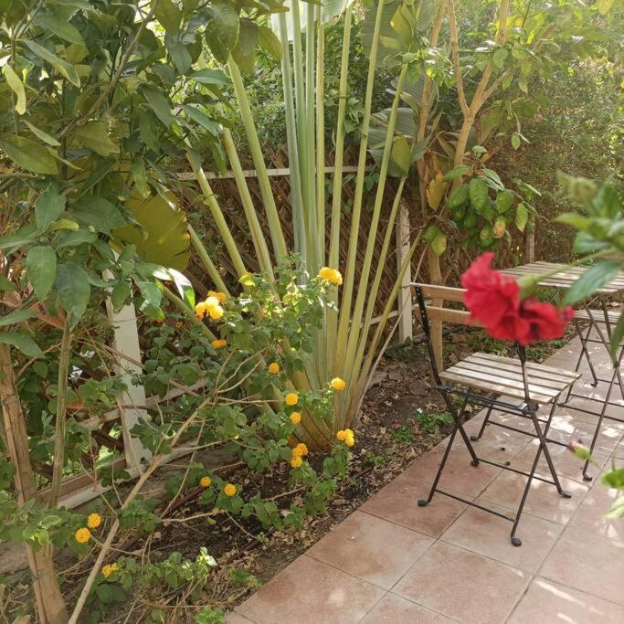 Apartmán Eilat Stone Terrace-אילת סטון טראס Exteriér fotografie
